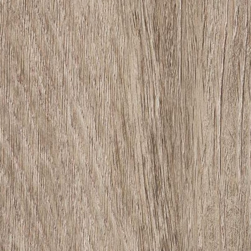Patcraft Reston Anise