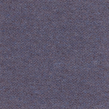Patcraft Scholastic II 26 Academic Probation Carpet