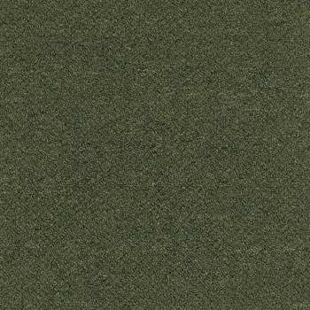 Patcraft Scholastic II 26 Bowl Games Carpet