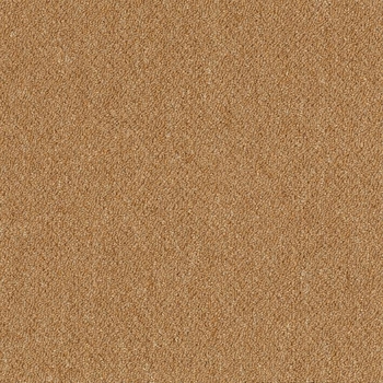 Patcraft Scholastic II 26 Curricula Carpet