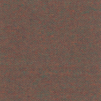 Patcraft Scholastic II 26 Dean Carpet