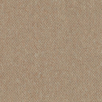 Patcraft Scholastic II 26 Elective Carpet