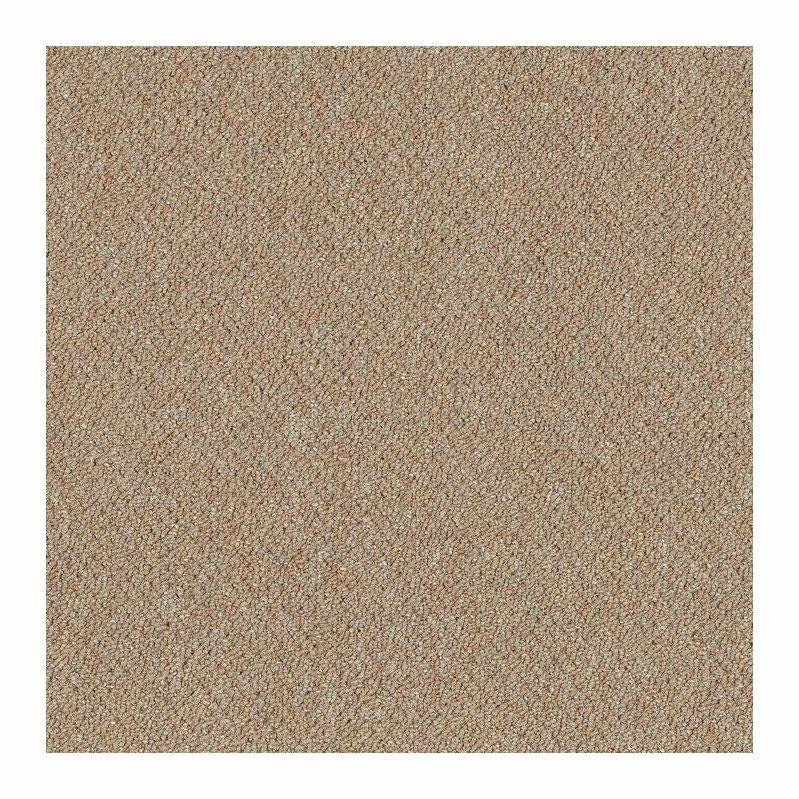 Patcraft Scholastic II 26 Elective Carpet