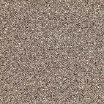 Patcraft Scholastic II 26 Finals Carpet
