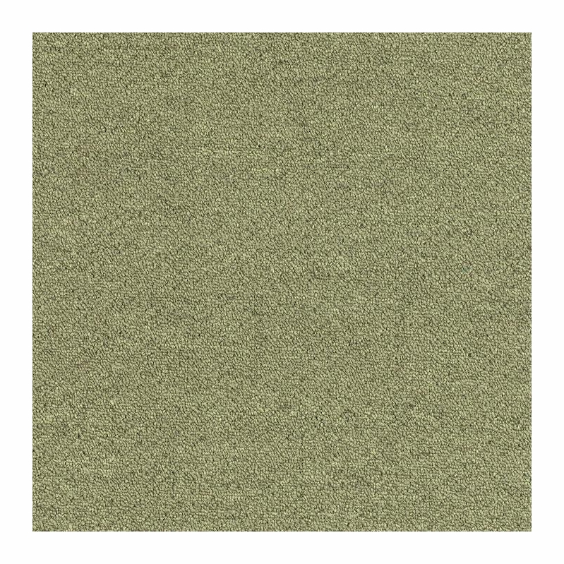 Patcraft Scholastic II 26 Financial Aid Carpet