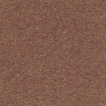 Patcraft Scholastic II 26 Fraternity Carpet