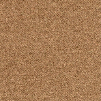 Patcraft Scholastic II 26 Graduate Program Carpet