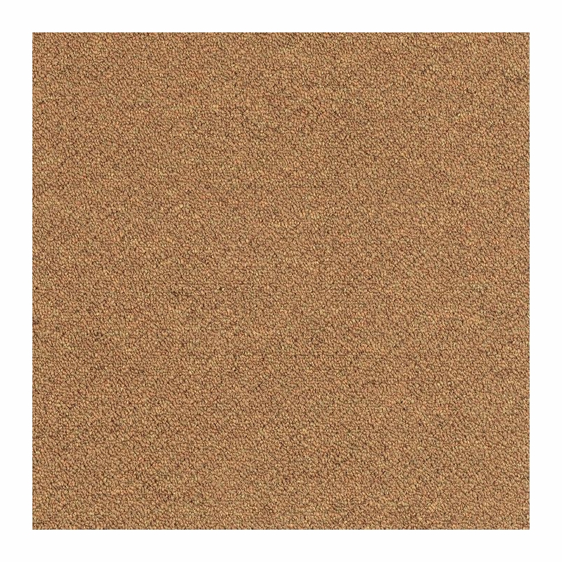 Patcraft Scholastic II 26 Graduate Program Carpet