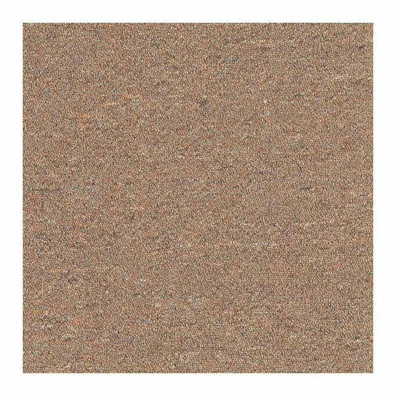 Patcraft Scholastic II 26 Intramural Carpet