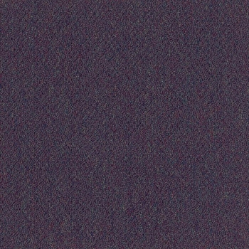 Patcraft Scholastic II 26 Midterm Carpet