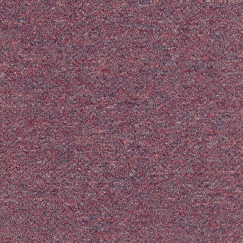Patcraft Scholastic II 26 Sorority Carpet