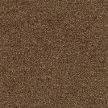 Patcraft Scholastic II 26 Student Loans Carpet