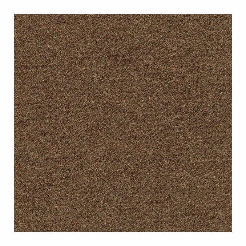Patcraft Scholastic II 26 Student Loans Carpet