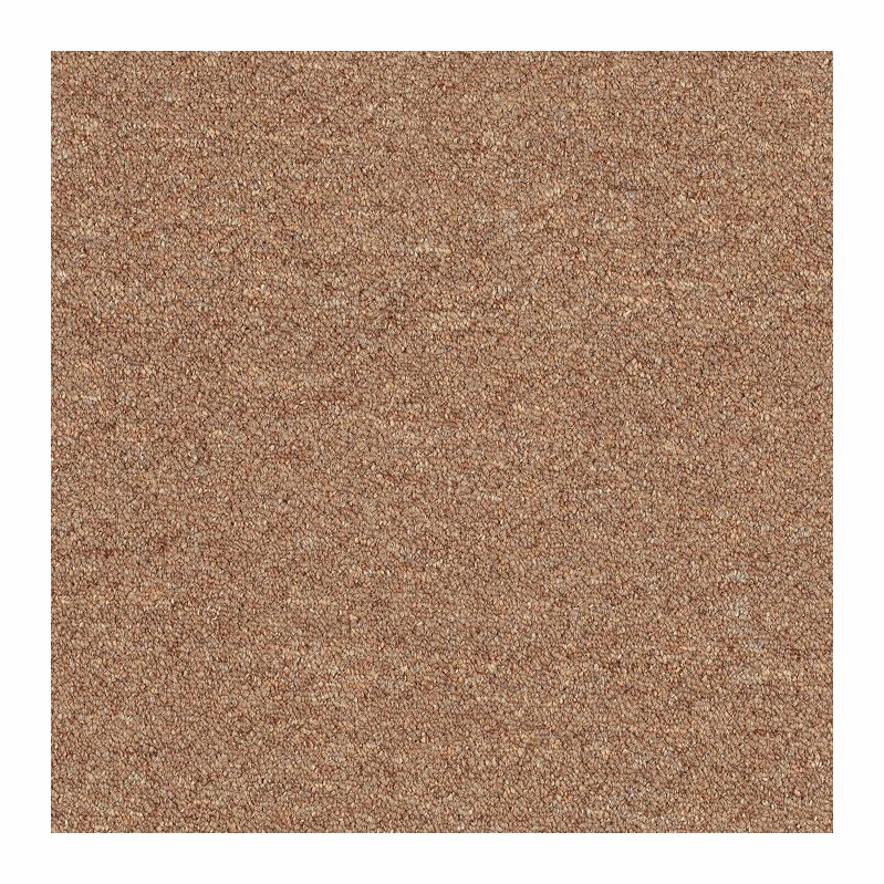 Patcraft Scholastic II 26 Syllabus Carpet