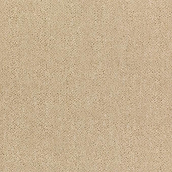 Patcraft Scholastic II 26 Tenure Carpet