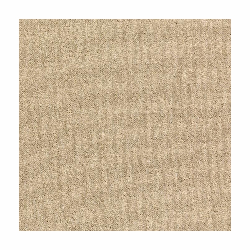 Patcraft Scholastic II 26 Tenure Carpet