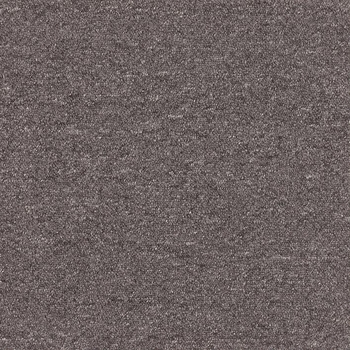 Patcraft Scholastic II 26 Undergraduate Carpet