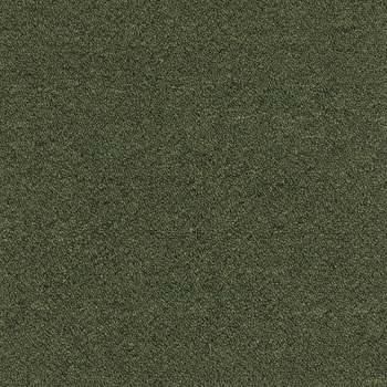Patcraft Scholastic II Bowl Games Carpet Tile