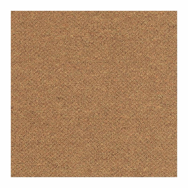Patcraft Scholastic II Curricula Carpet Tile