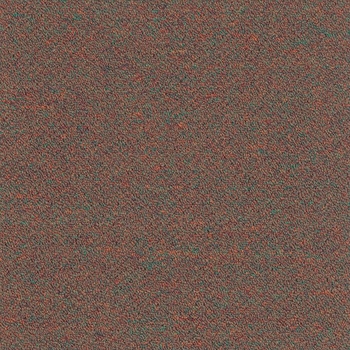 Patcraft Scholastic II Dean Carpet Tile