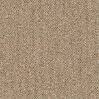 Patcraft Scholastic II Elective Carpet Tile