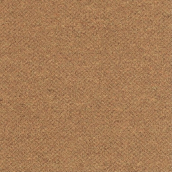 Patcraft Scholastic II Graduate Program Carpet Tile
