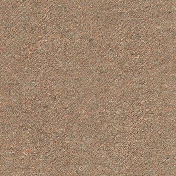 Patcraft Scholastic II Intramural Carpet Tile