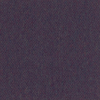 Patcraft Scholastic II Midterm Carpet Tile