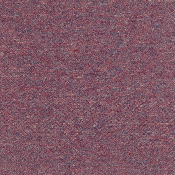 Patcraft Scholastic II Sorority Carpet Tile