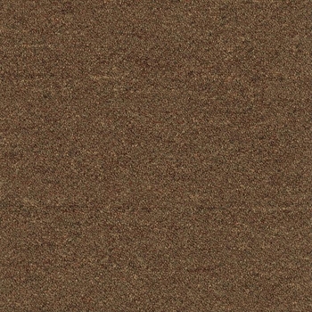 Patcraft Scholastic II Student Loans Carpet Tile