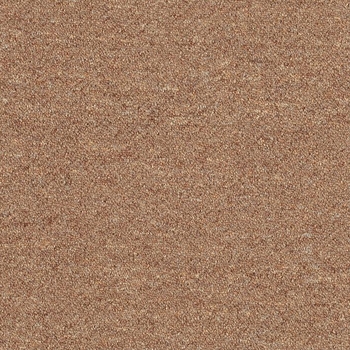 Patcraft Scholastic II Syllabus Carpet Tile