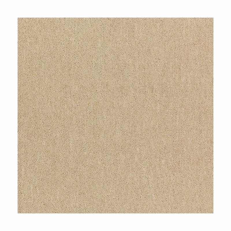 Patcraft Scholastic II Tenure Carpet Tile