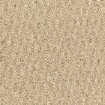 Patcraft Scholastic II Tenure Carpet Tile