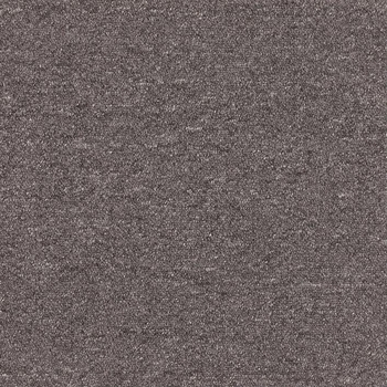 Patcraft Scholastic II Undergraduate Carpet Tile