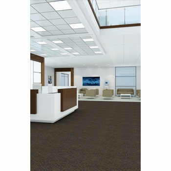 Patcraft Seal The Deal Portfolio