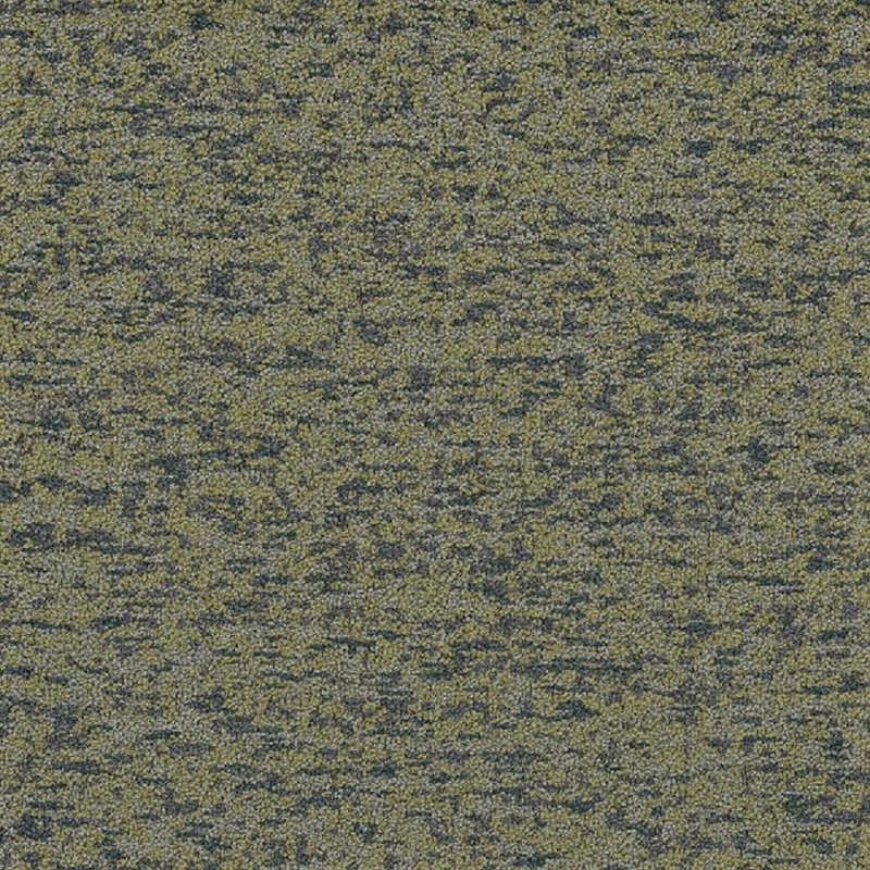 Patcraft Seville Musgo Broadloom