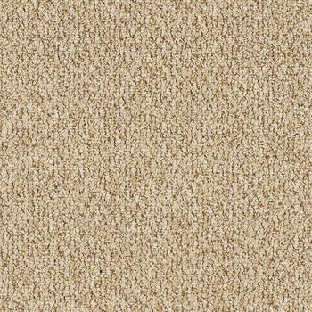Patcraft Socrates II 26 Berkeley Carpet