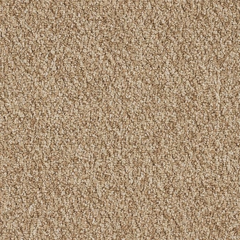 Patcraft Socrates II 26 Descartes Carpet