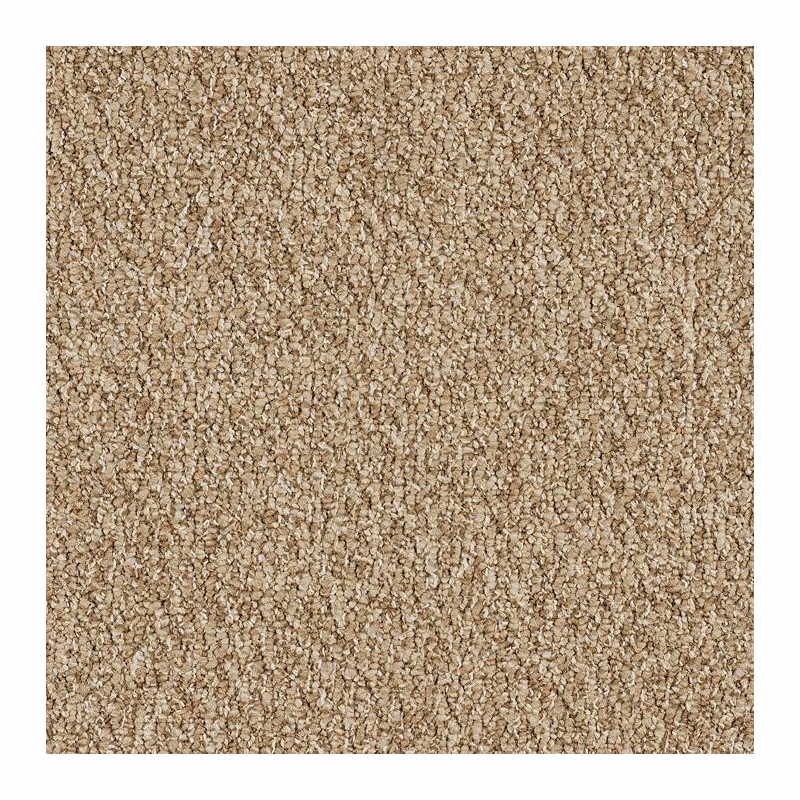 Patcraft Socrates II 26 Descartes Carpet