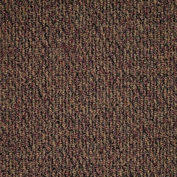 Patcraft Socrates II 26 Fiske Carpet
