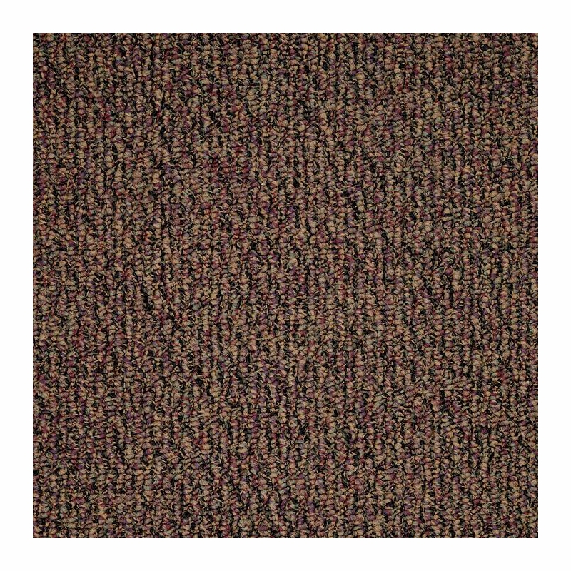 Patcraft Socrates II 26 Fiske Carpet