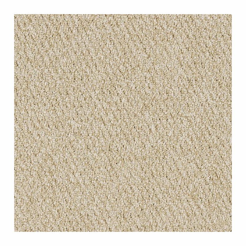 Patcraft Socrates II 26 Hume Carpet