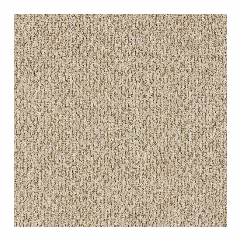Patcraft Socrates II 26 Locke Carpet