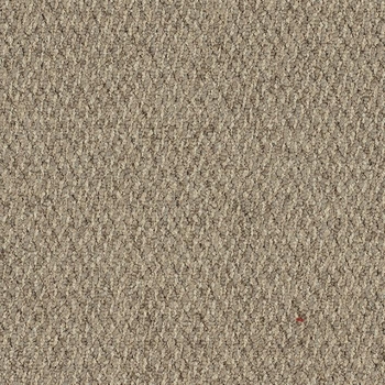 Patcraft Socrates II 26 Schiller Carpet