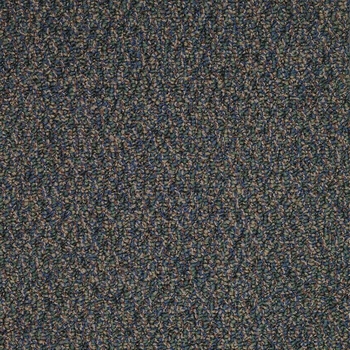 Patcraft Socrates II 26 Schweitzer Carpet