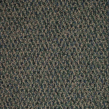 Patcraft Socrates II 26 Strauss Carpet