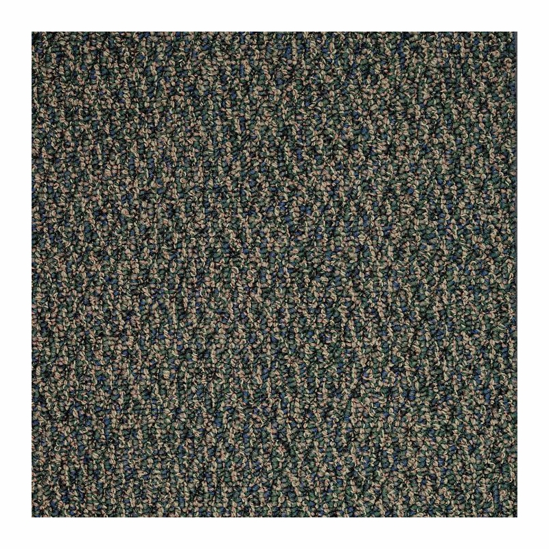 Patcraft Socrates II 26 Strauss Carpet