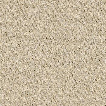 Patcraft Socrates II Hume Carpet Tile