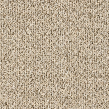 Patcraft Socrates II Locke Carpet Tile
