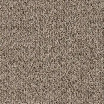 Patcraft Socrates II Sartre Carpet Tile